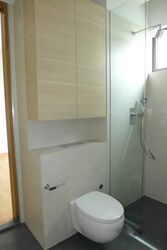 Balmoral Road (D10), Condominium #485635231